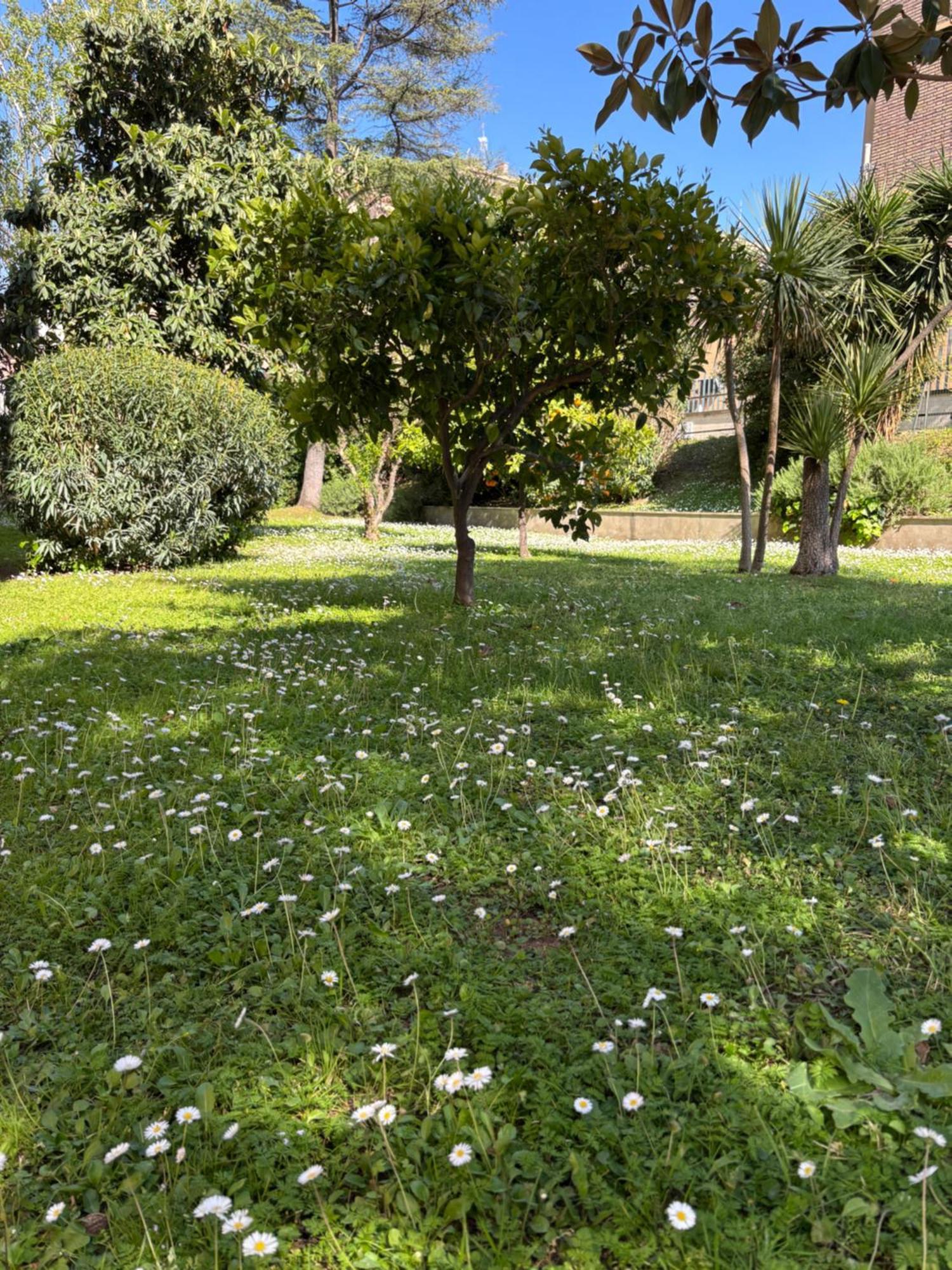 Grelly'S House - Holiday In Rome - 50 Meters From The Metro Екстер'єр фото